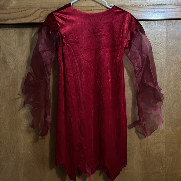 Halloween costume - Picture 3 of 5